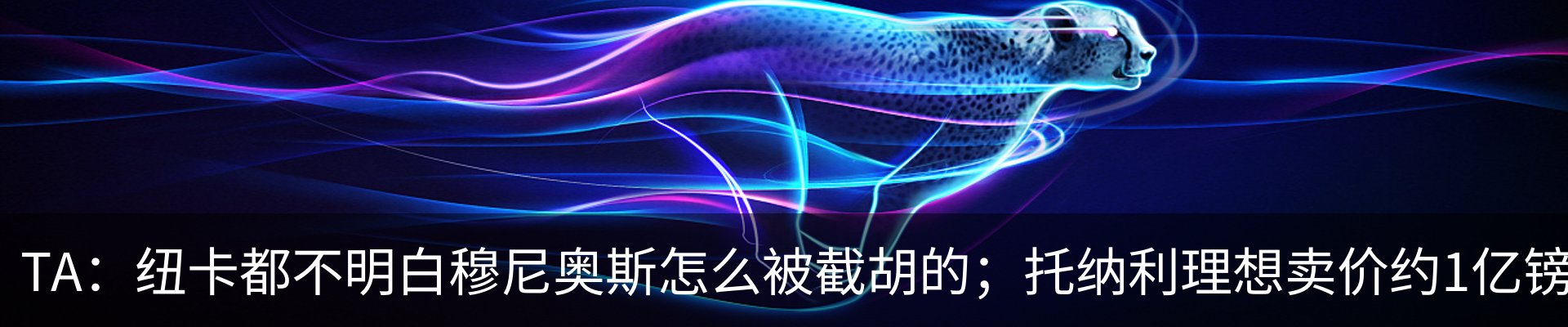 最新动态